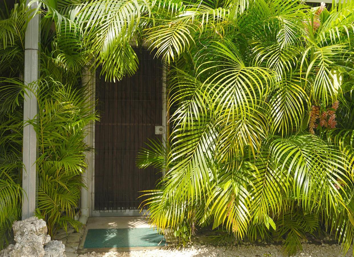 Playa Santa Teresa  Apartamentos Y Studios Brisas Del Mar Santa Teresa מראה חיצוני תמונה
